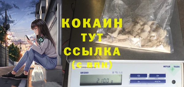 твердый Магадан