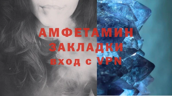 крисы Магас